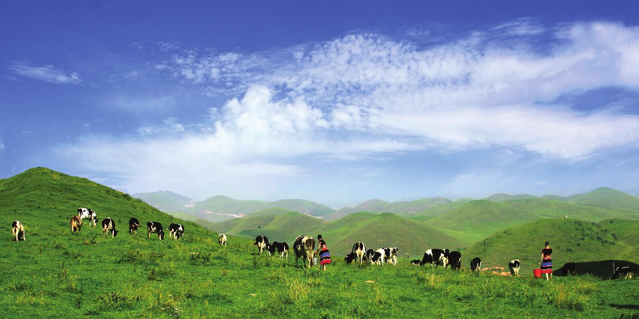 一步之城，萬(wàn)種風(fēng)情 ——《城步苗族自治縣旅游產(chǎn)業(yè)發(fā)展總體規(guī)劃及重點(diǎn)景區(qū)概念性規(guī)劃》
