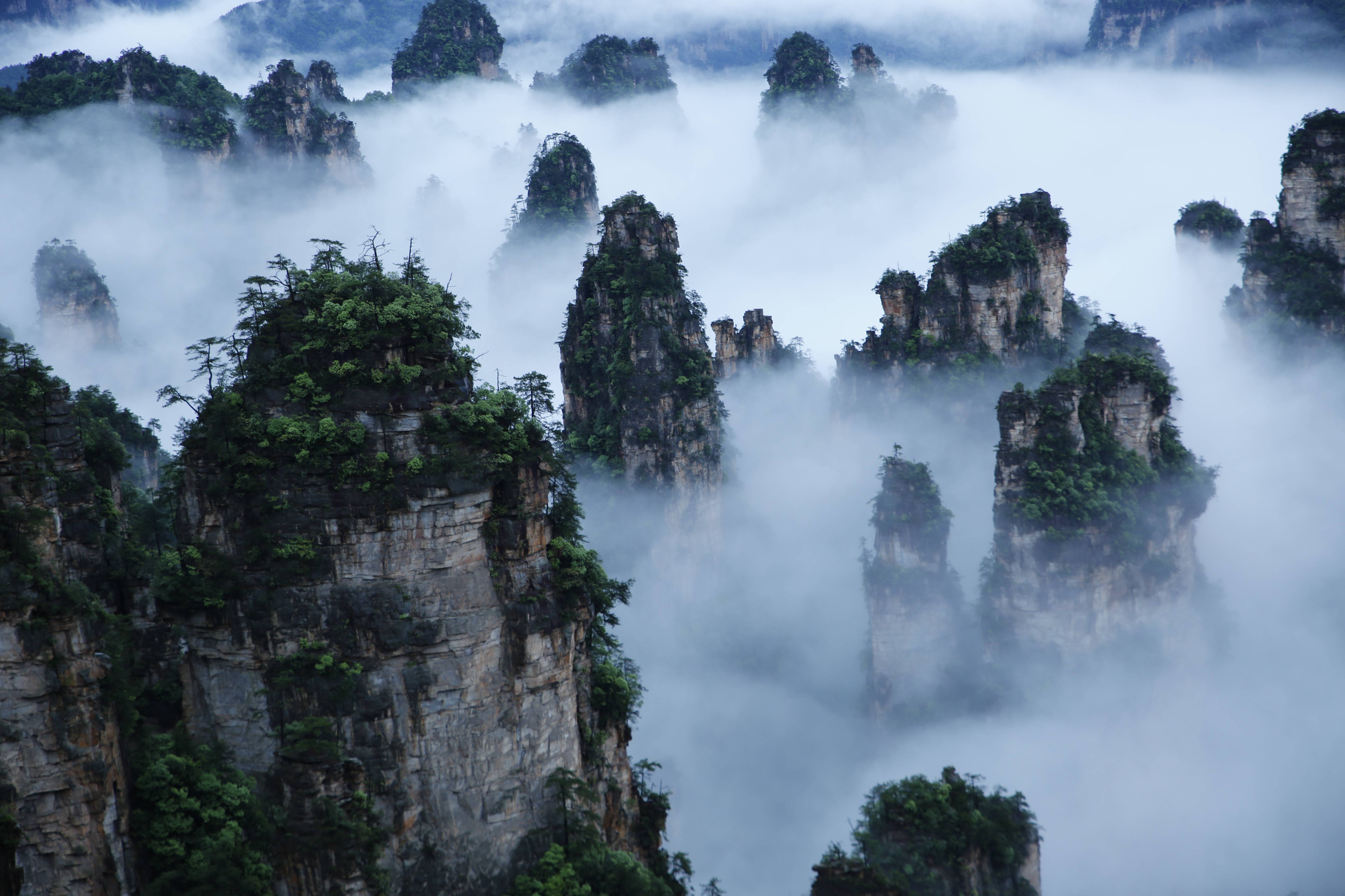 武陵源景區(qū)天子山云海，圖源：湖南日?qǐng)?bào).jpeg